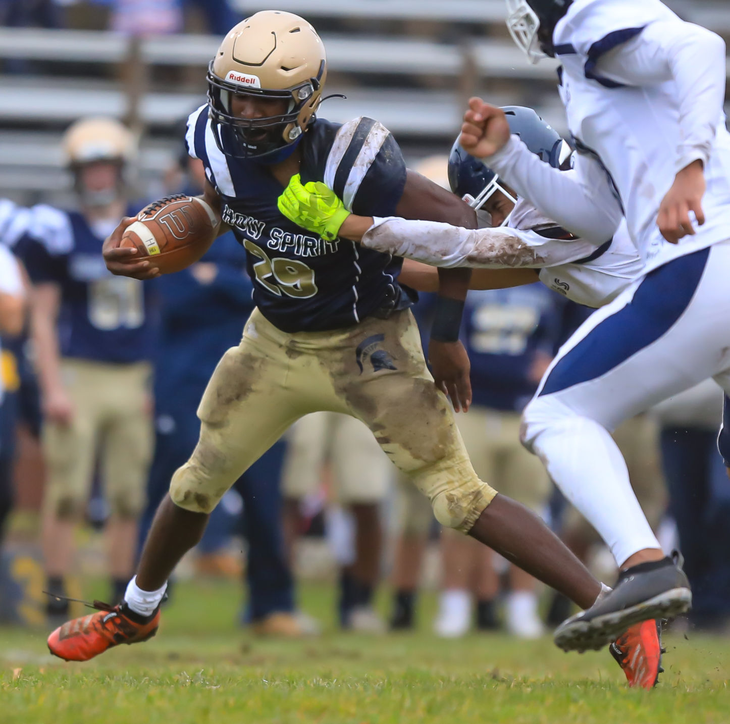 spt_HSFB